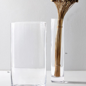 Simple Clear Glass Vases