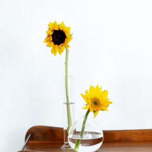4in Wide Clear Ball Glass Vase, Set of 2