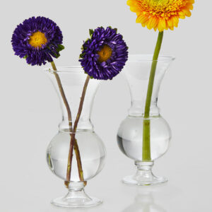 6in Tall Clear Glass Trumpet Bud Vase, Set of 2