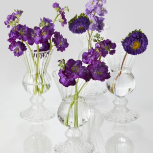 6in Tall Optical Glass Mini Urn Vase, Set of 4