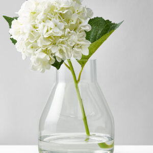 9.5in Tall Glass Terrarium Vase